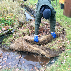 Pond Cleaning in Guildford