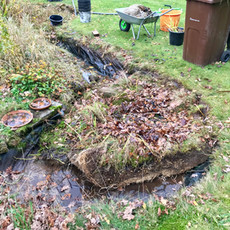 Pond Cleaning in Guildford