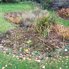 Pond Cleaning in Guildford