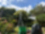 86c17891-f31c-44d9-bbc0-c2dcca69eaa5.JPG