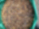 IMG_1810.jpeg