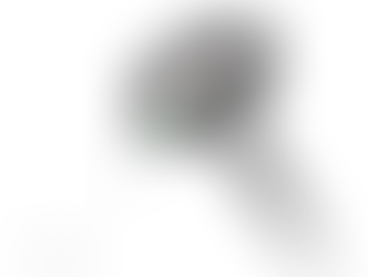 SinoGNSS: Revolucionando la Topografía con Tecnología Avanzada