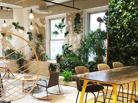 At home in the office?