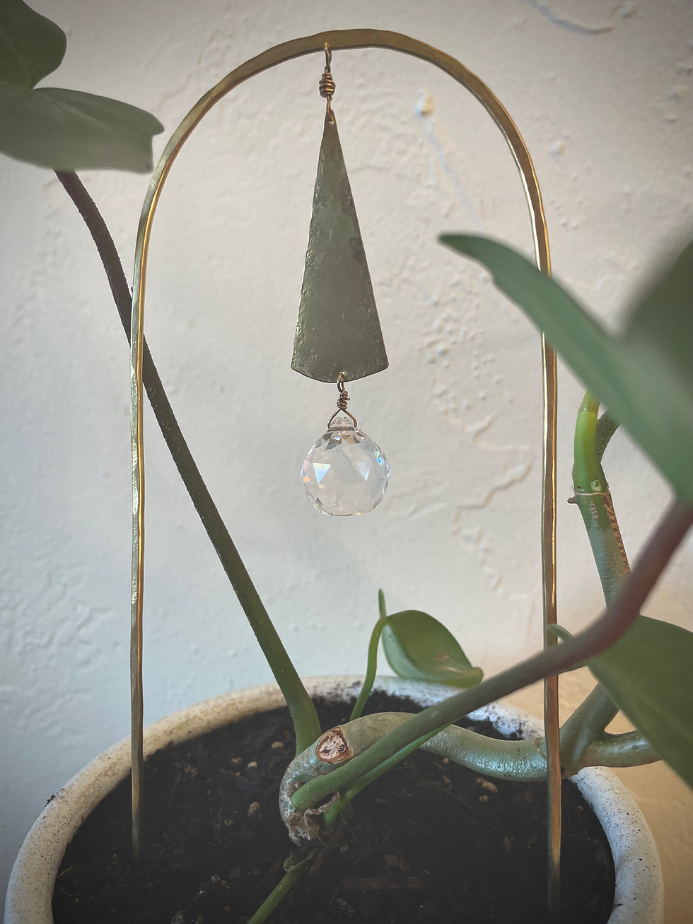 Thumbnail: Plant Adornment