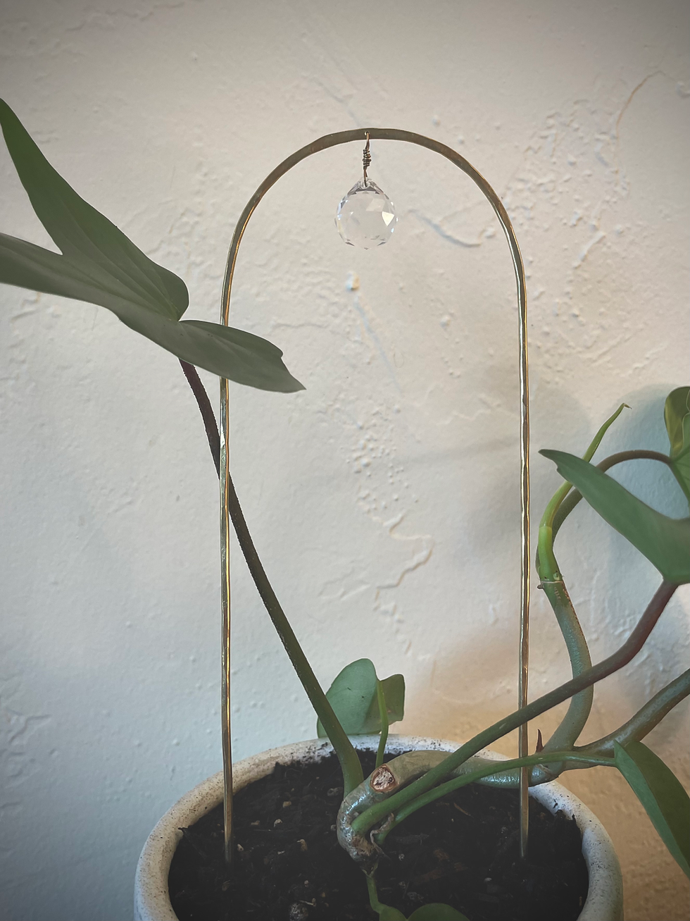 Thumbnail: Plant Adornment