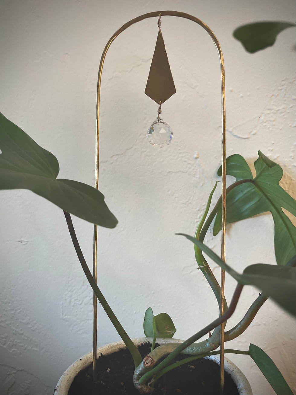 Thumbnail: Plant Adornment