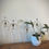 Thumbnail: Plant Adornment