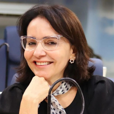 Emília, a bolha e o sistemão