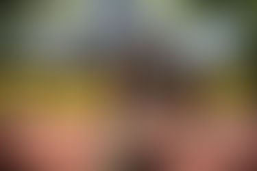 All Eyes on Papua: Land Back for Indigenous Tribes