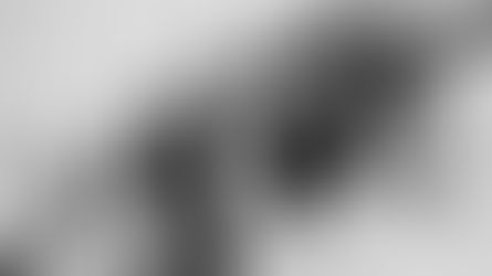 Carnegie Calling Camp Broadway Indonesia Once Again