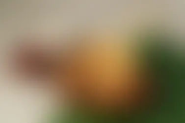 Telur Gulung, Jakarta's Eggciting Delight