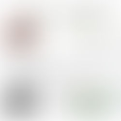 Alipio dos Anjos Rodrigues