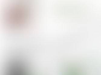 Alipio dos Anjos Rodrigues