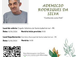 ADEMICIO RODRIGUES DA SILVA