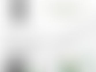 JOSE FERREIRA DE SOUZA