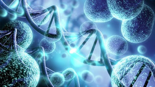 IB Biology Internal Assessment Solved: A Guide to Acing Your Biology IA (2025 Syllabus)