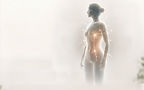body