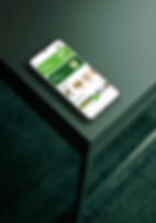 Nubo Wellness SM Posts Dec (1).jpg