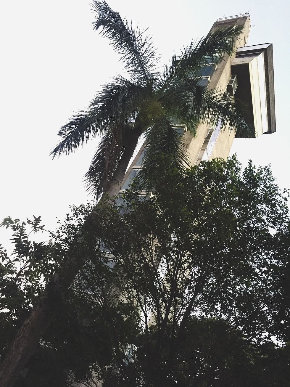 Tower of the Antioquia Chess League in Medellin with palm trees