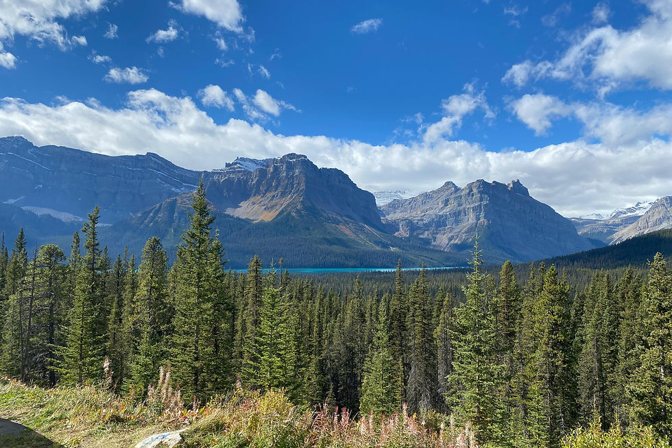 Bow Lake with glacier views and quiet shoreline surrounded by peaks