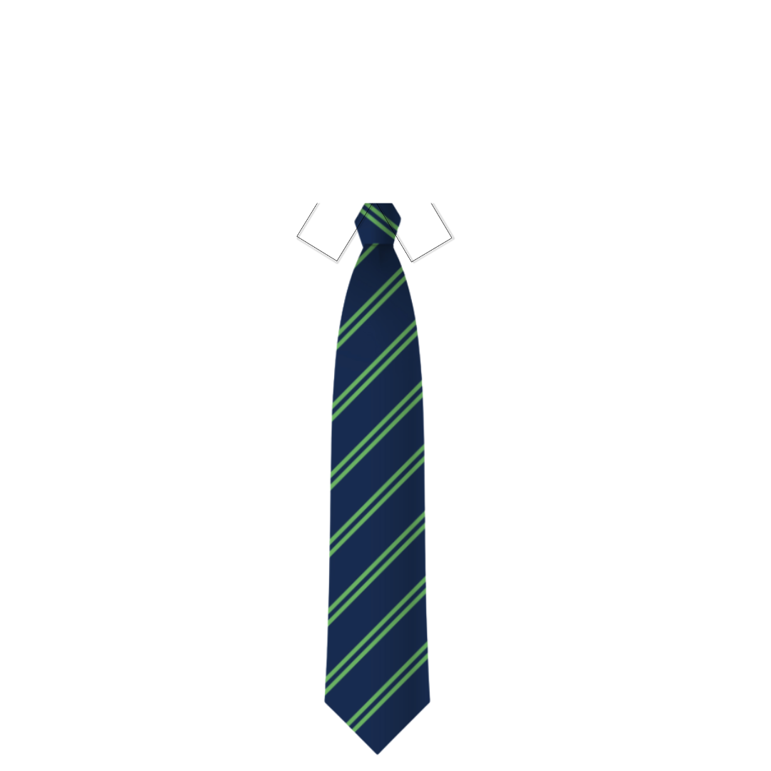 SCHOOL TIE DOUBLE STRIPE(NAVY+EMERALD GREEN)