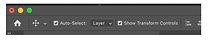 Screen Shot 2021-01-27 at 12.32.52 PM.pn
