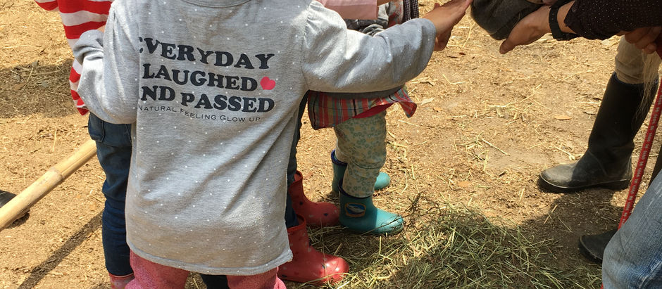 お馬さんとのふれあい体験は大盛況!