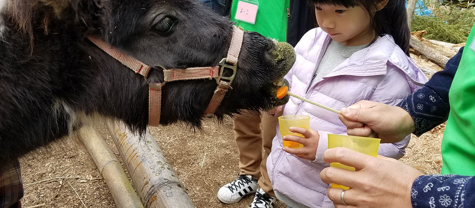 5/26(日)お馬さんとのふれあい体験開催!