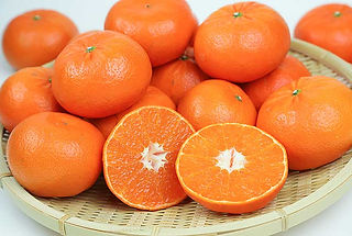 金華山みかん村ページです☆ ゆめオンライン | youme online - ゆめタウン公式通販福岡県産