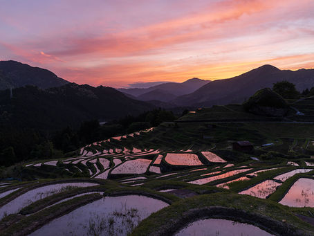 夕焼けの丸山千枚田