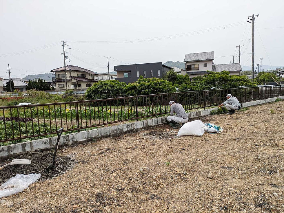 周りのフェンス