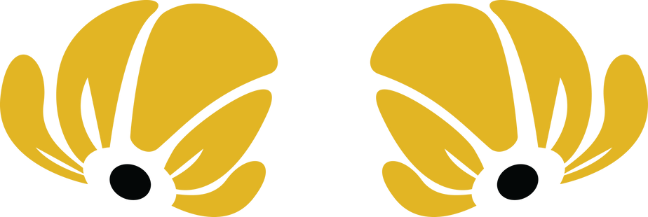 two yellow buttercup flowers