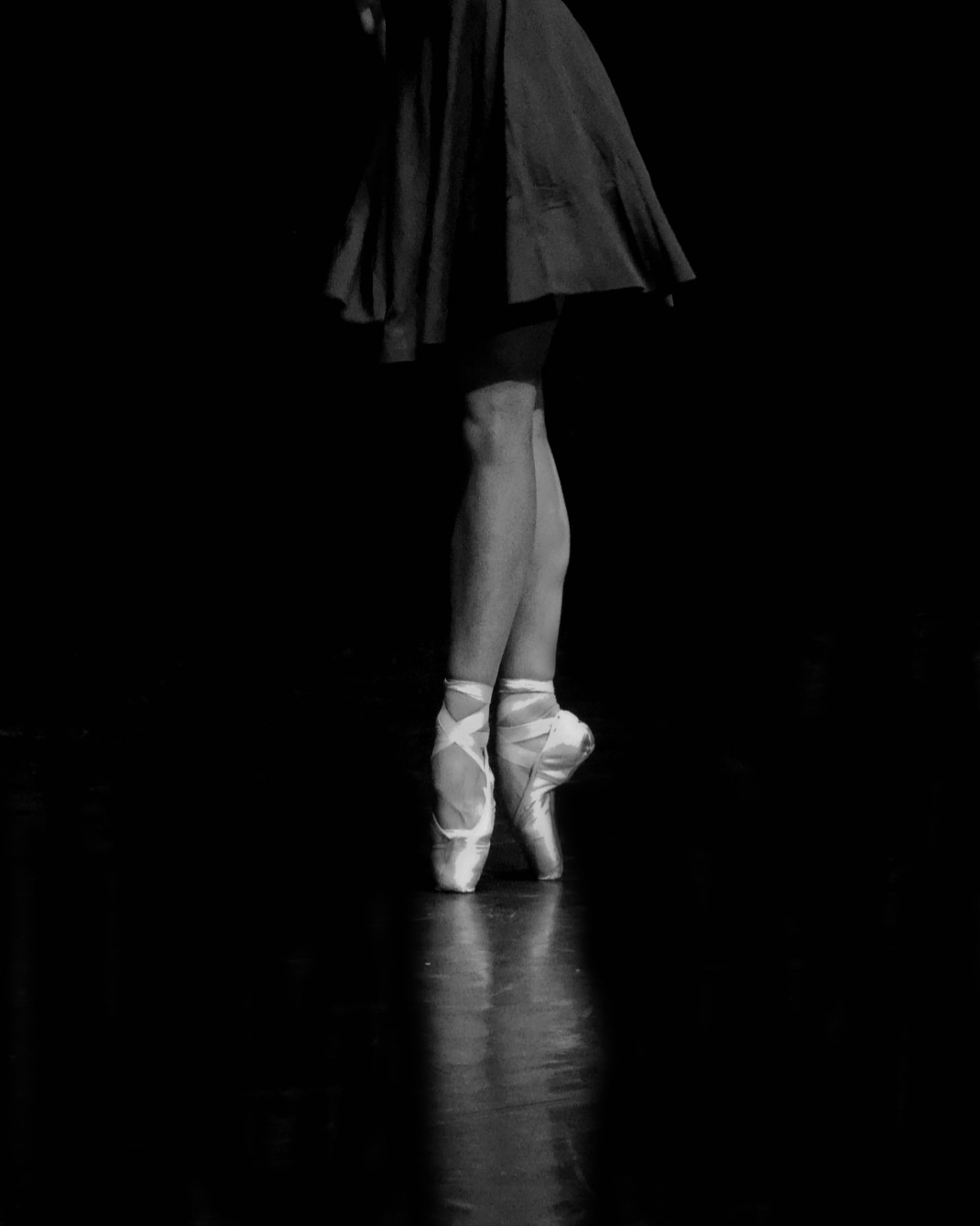 Photo du rédacteur: Alicia Dauvergne