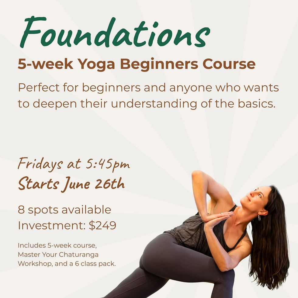 Foundations: 5-Week Yoga Beginners Course