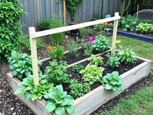 How to Start a Backyard Raised Garden Bed (Beginner Guide for Ontario)