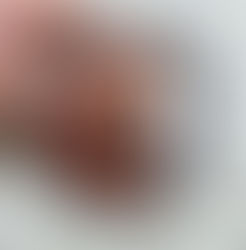 Paleta Forever Nude Luisance