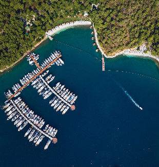 Private villa suite surrounded by lush h