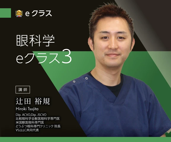 [裁断済み] VSJ 獣医眼科学 eClass BOOK 辻田裕規 VSJ ONE［eシリーズ一覧］