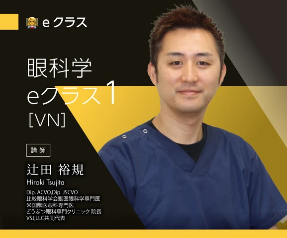 [裁断済み] VSJ 獣医眼科学 eClass BOOK 辻田裕規 eシリーズ｜VSJの獣医師／獣看護師向け臨床教育