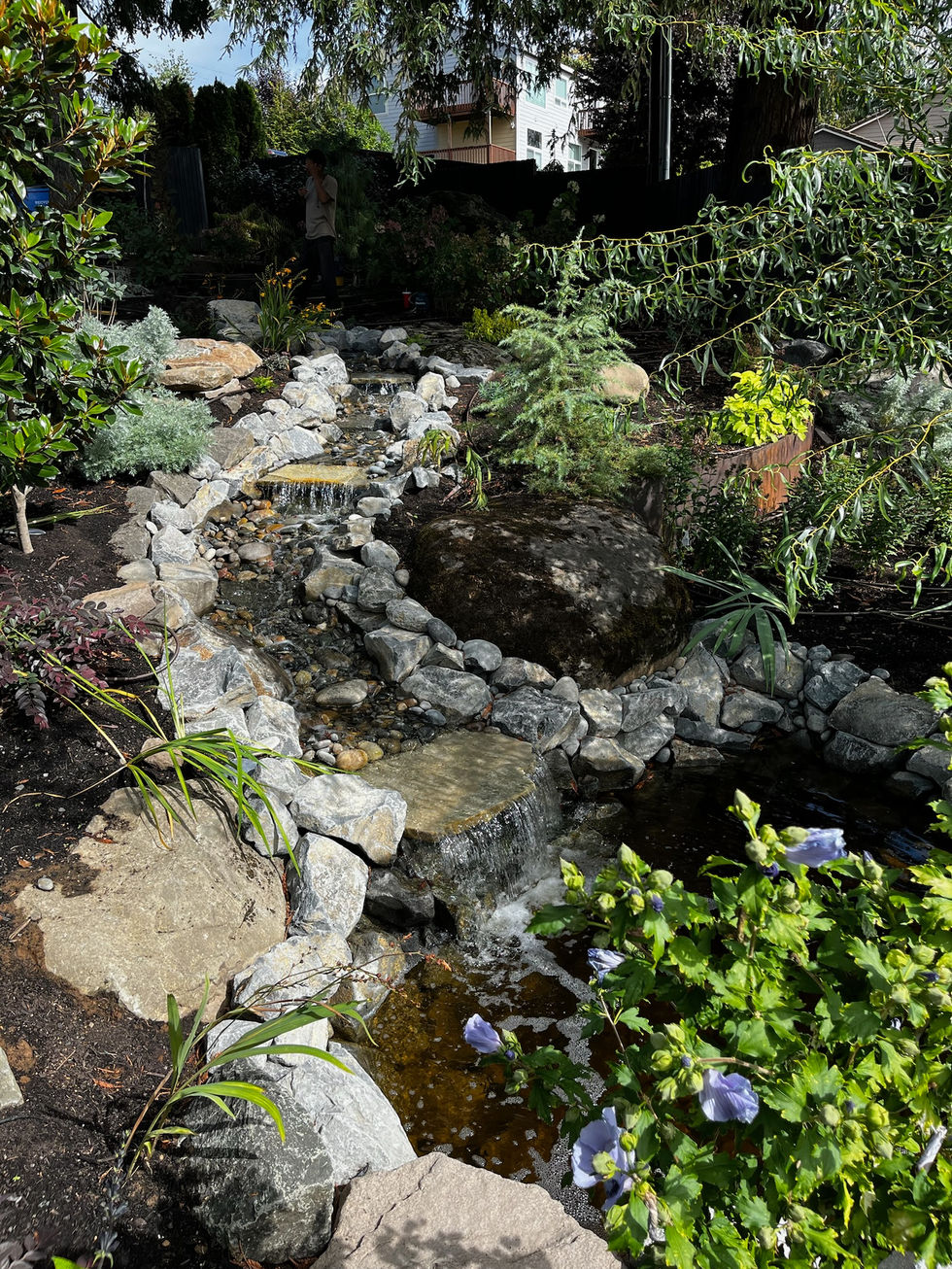 Custom Water Feature with flowers and plants around it.