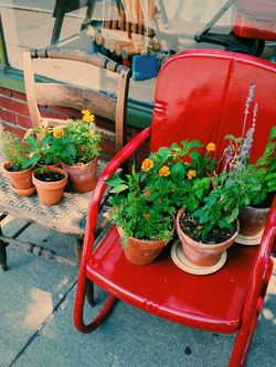 Sidewalk Garden