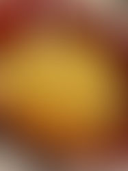 Chicken Noodle Soup