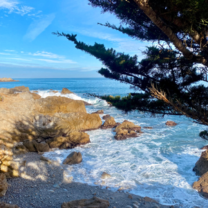 Les Rouckers Trotteurs aux USA (partie 2)