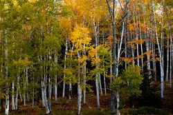 Landscape Photography