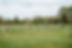2025-04-14 Hadley Park SHP-240.jpg