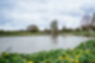 2025-04-14 Hadley Park SHP-189.jpg