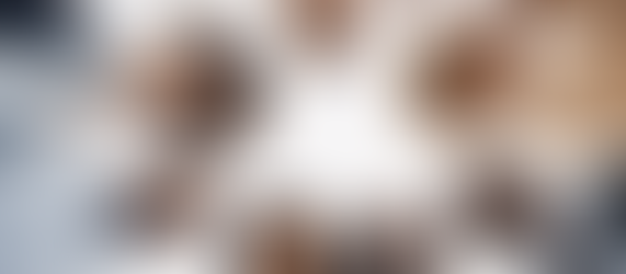 Engaging with Academic Community: UMA Journal