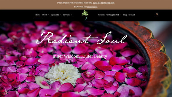 Holistic Health Web Interface