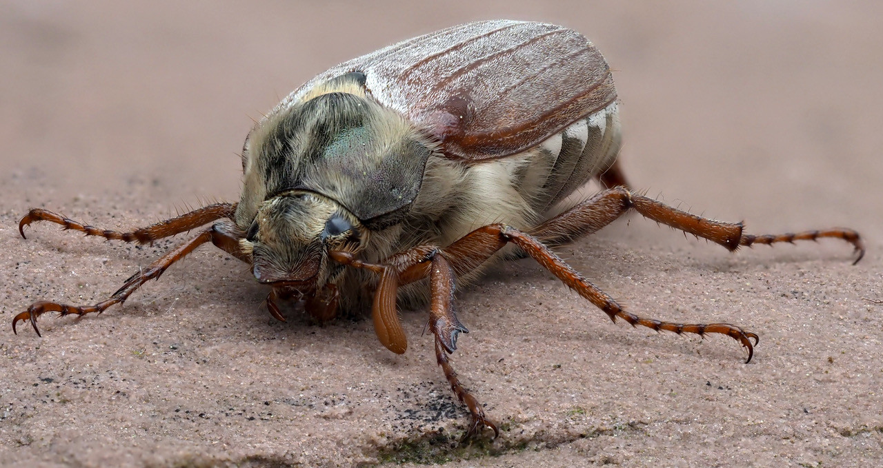 21 Angus Stuart Abbey Camera Club