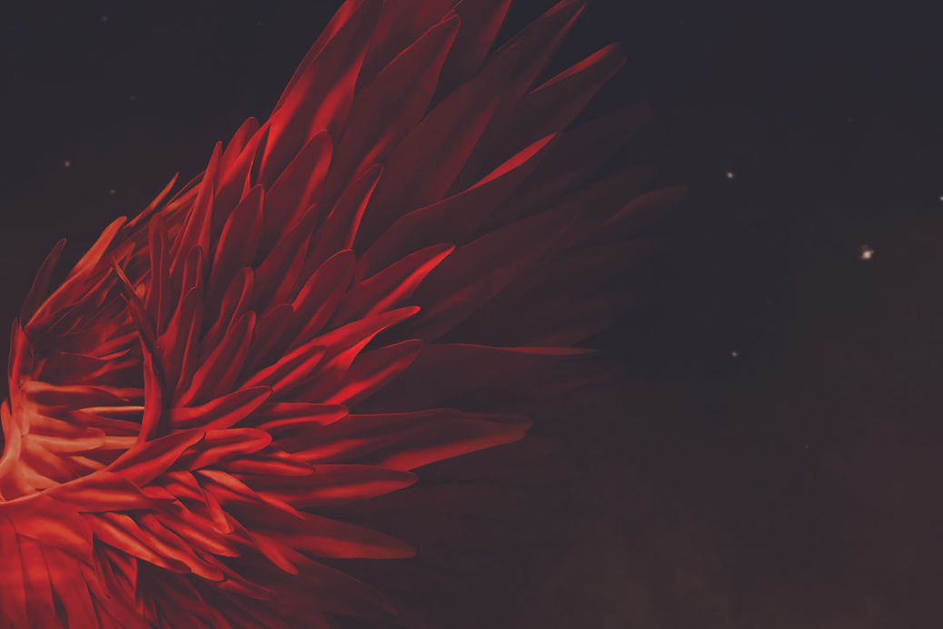 Verdi_mars 2025_background.jpg